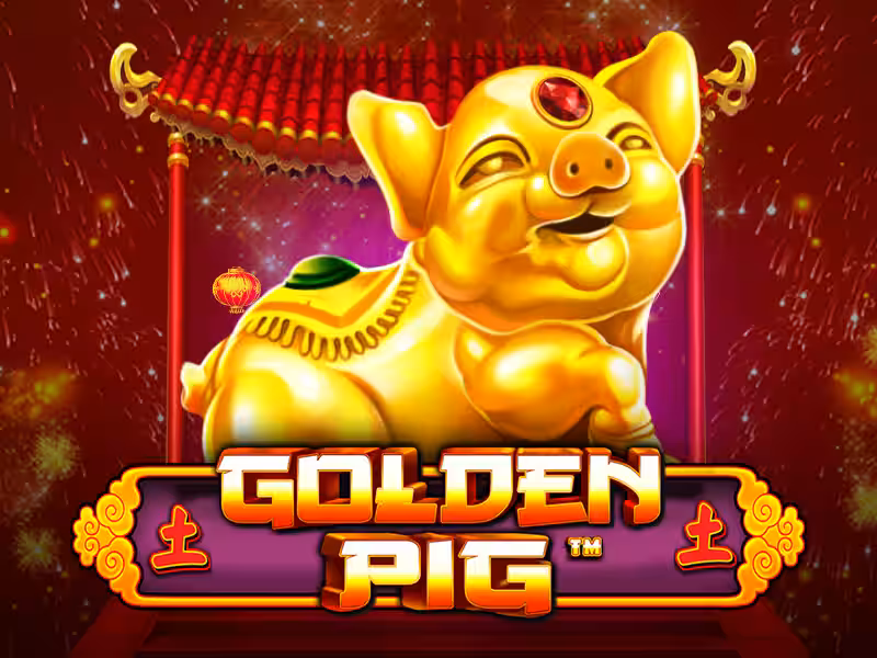 Golden Pig